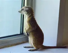 花ofibjnmnj-爱游戏官网